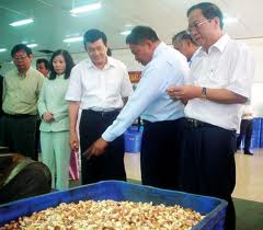 ປະທານປະເທດ Truong Tan Sang ເຮັດວຽກຢູ່ແຂວງ Ninh Thuan